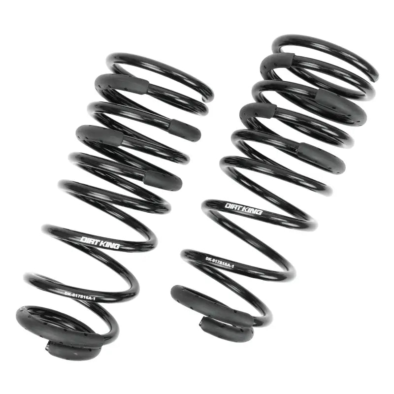 '+1" Rear Springs For 24-26 Toyota Tacoma