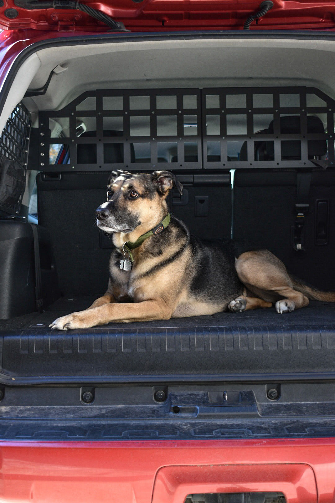 Dog Barrier For 4Runner