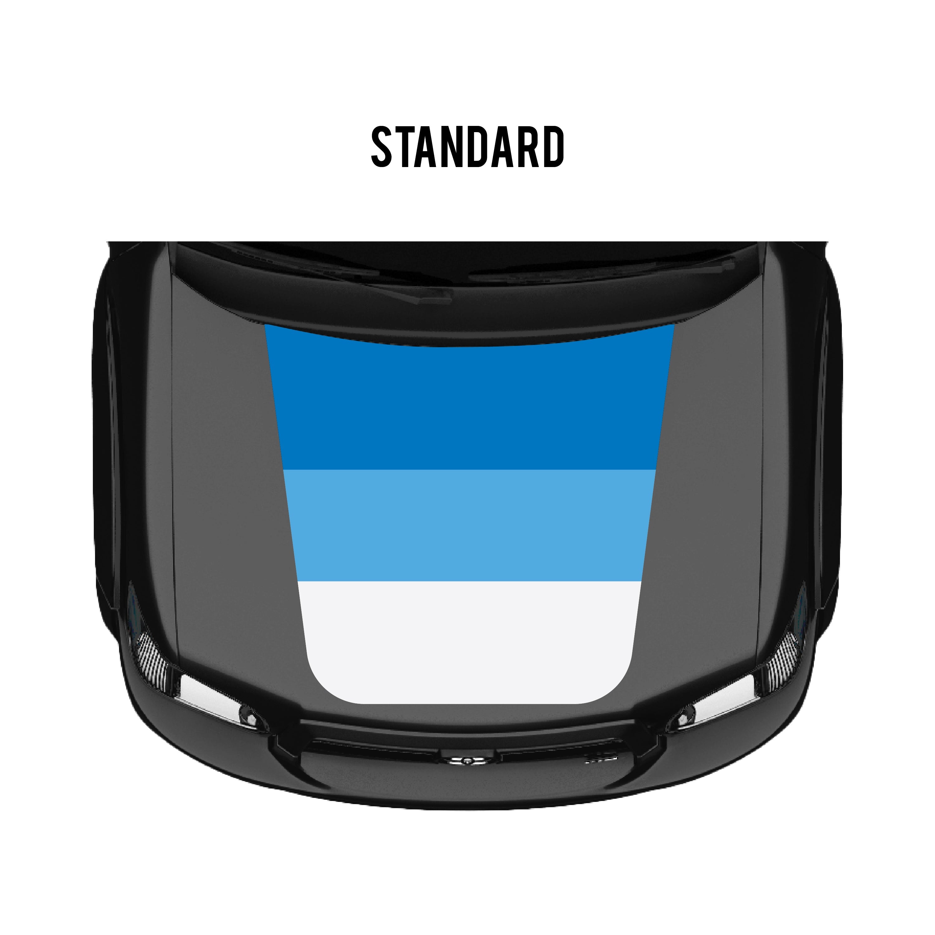 2001–07 Checkered Stripe Kit For Sequoia