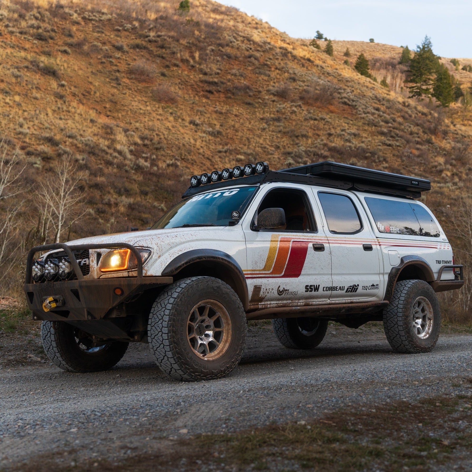 2001-04 Checkered Stripe Kit For Tacoma