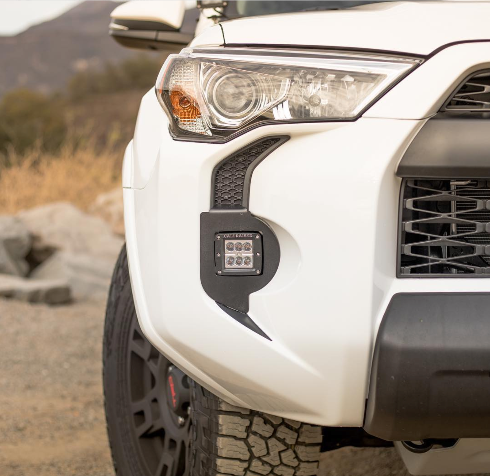 Foglight Fangs For (5th Gen) 4Runner