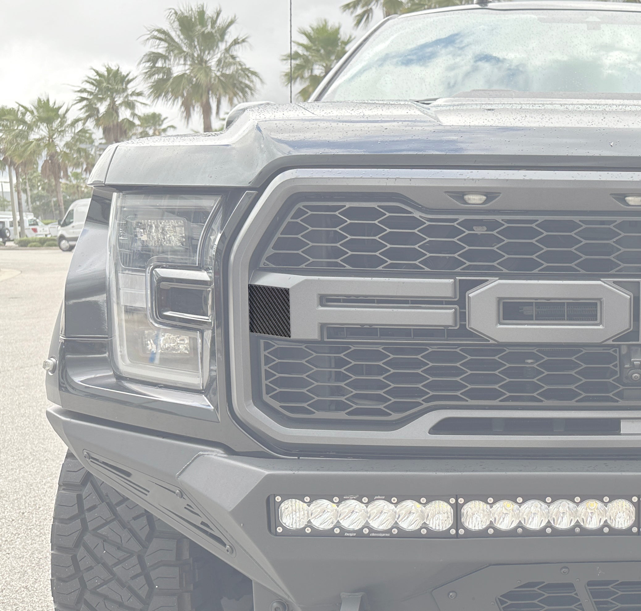 Side Grille Overlays Fits 2017-2020 Ford Raptor