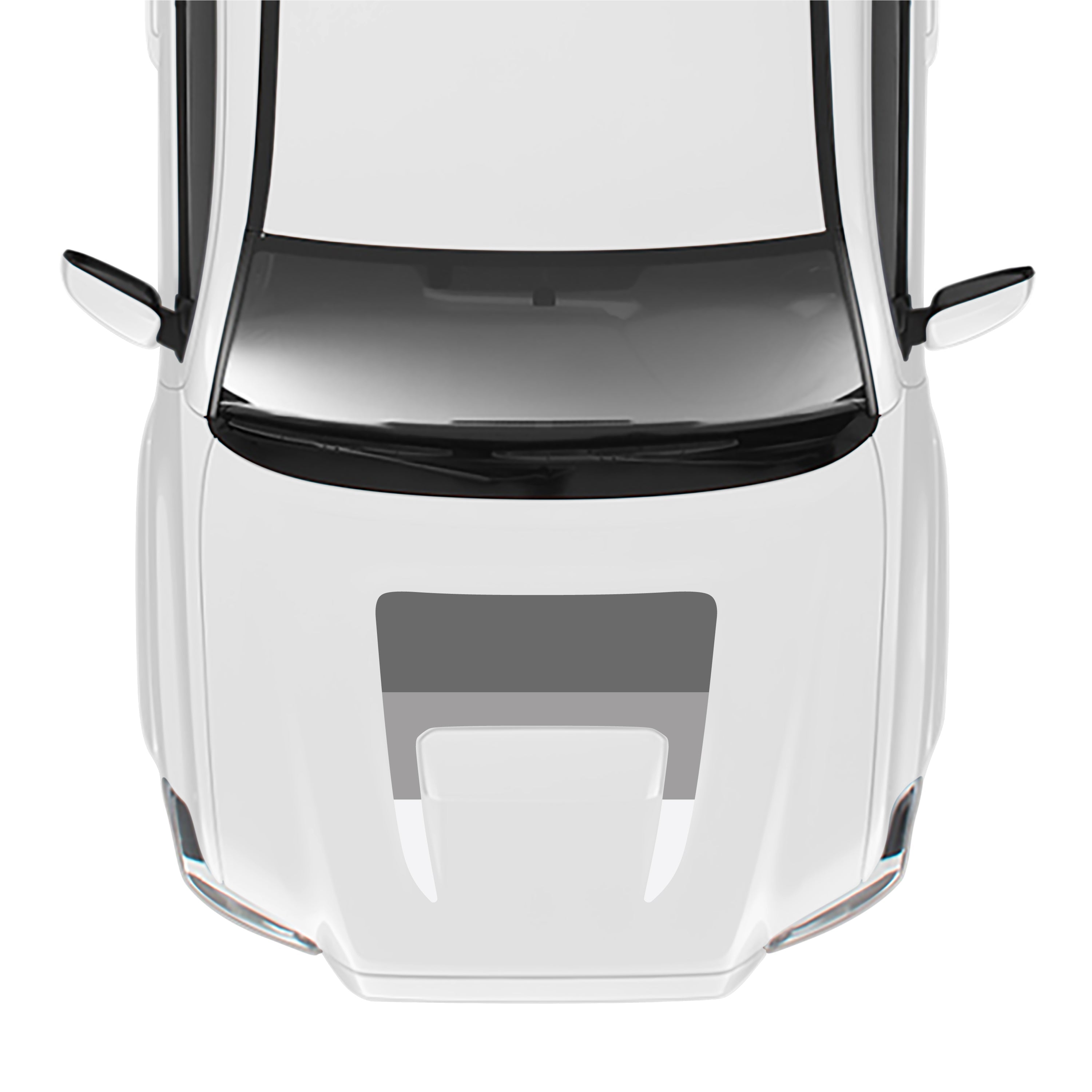 2016-23 Sport/Pro Checkered Hood Stamp For Tacoma