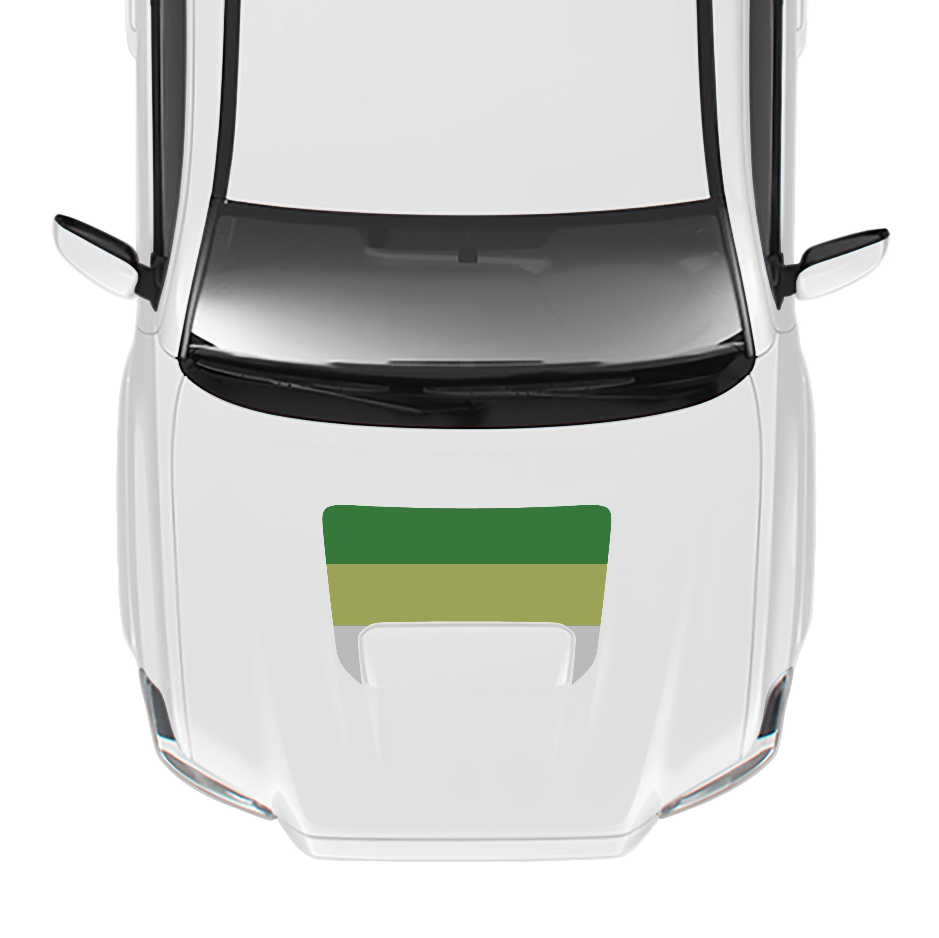 2016-23 Sport/Pro Checkered Hood Stamp For Tacoma