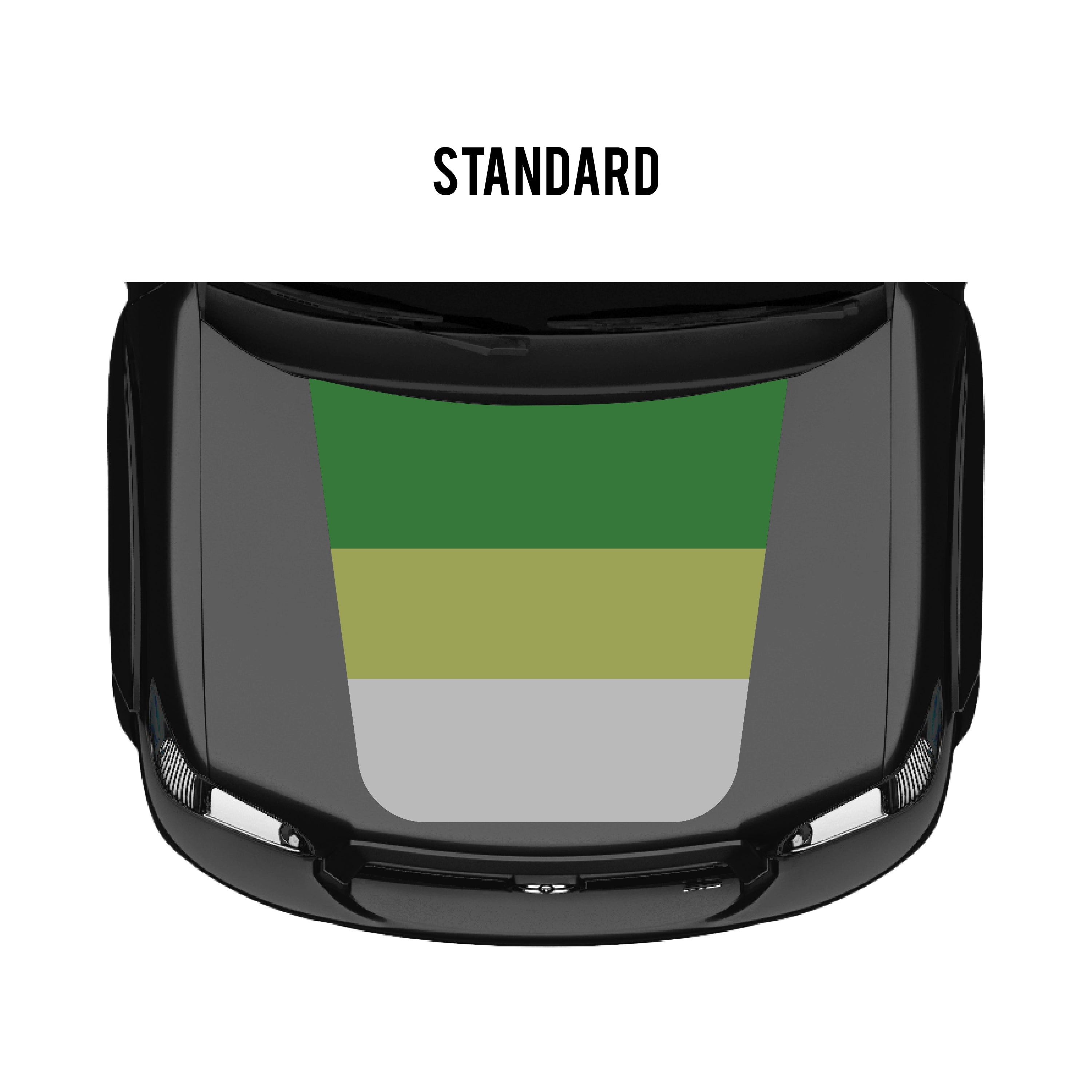 2001–07 Checkered Stripe Kit For Sequoia