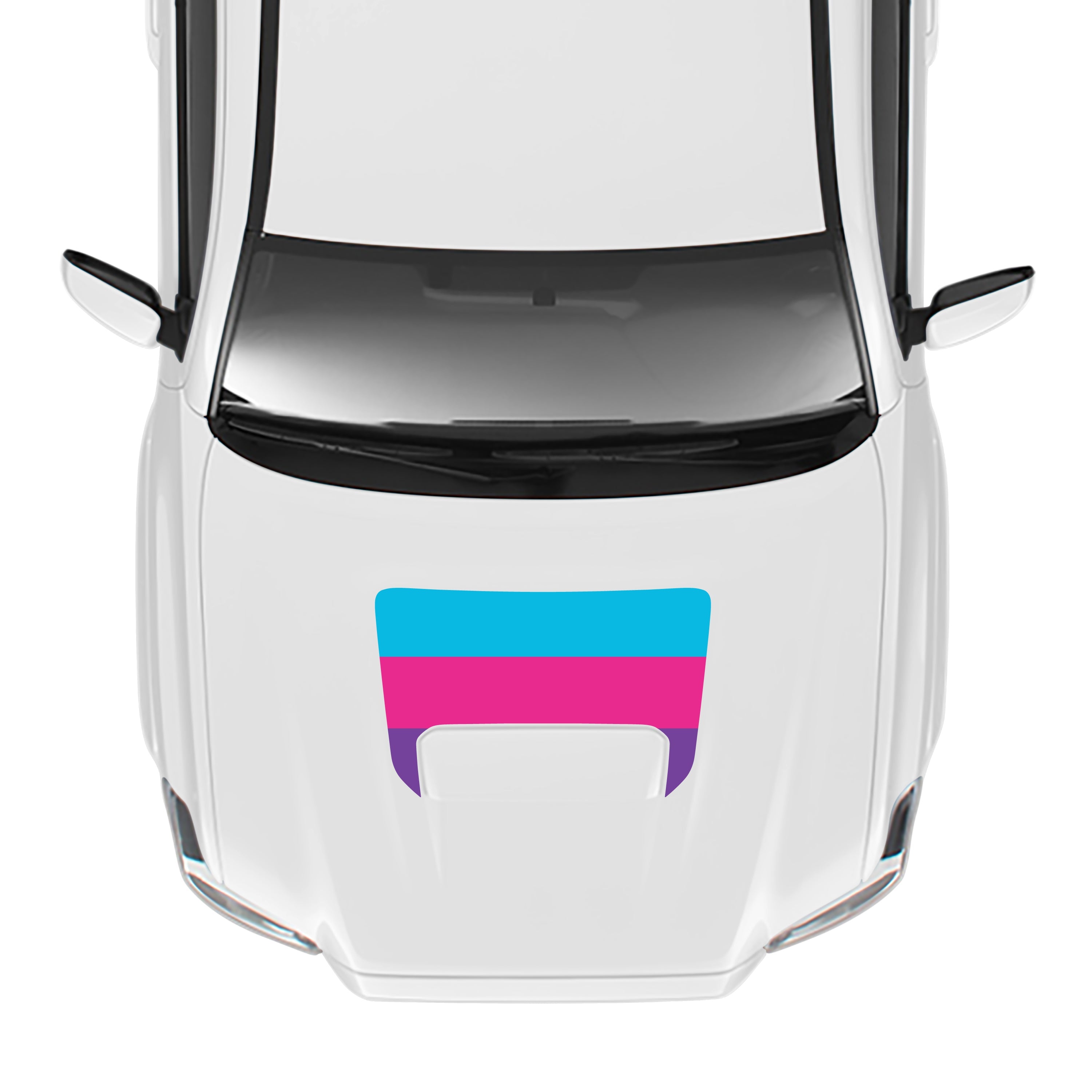 2016-23 Sport/Pro Checkered Hood Stamp For Tacoma