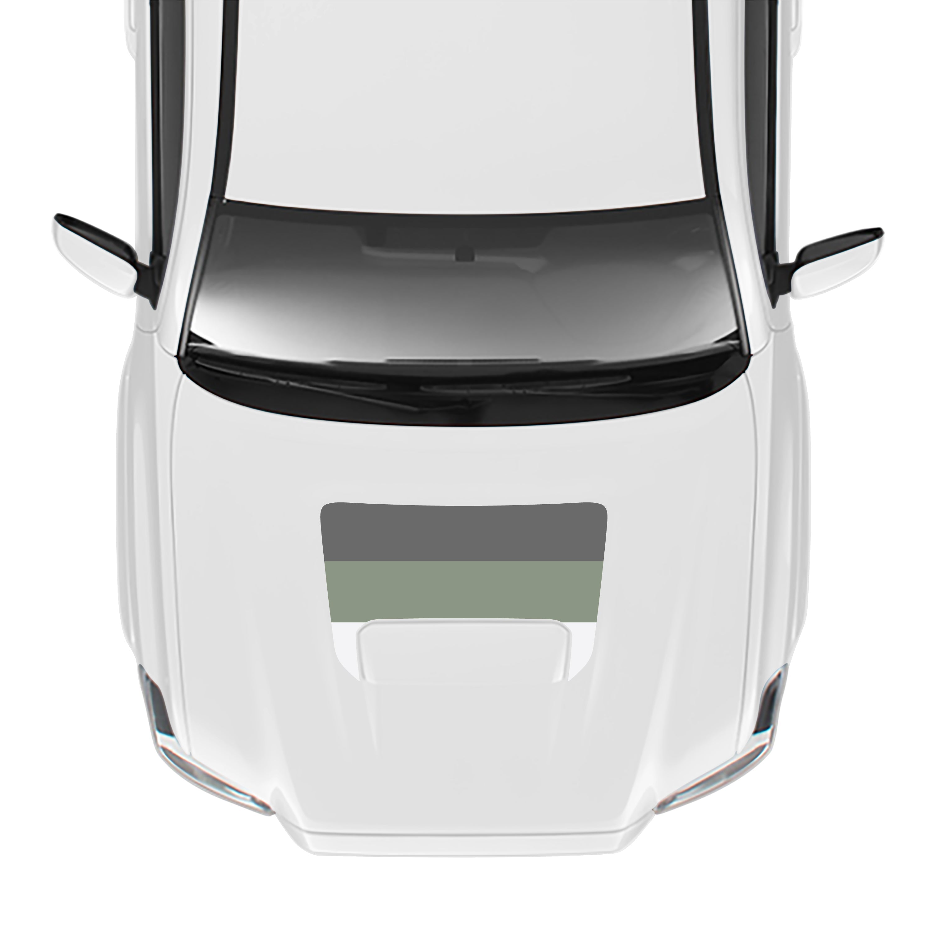 2016-23 Sport/Pro Checkered Hood Stamp For Tacoma