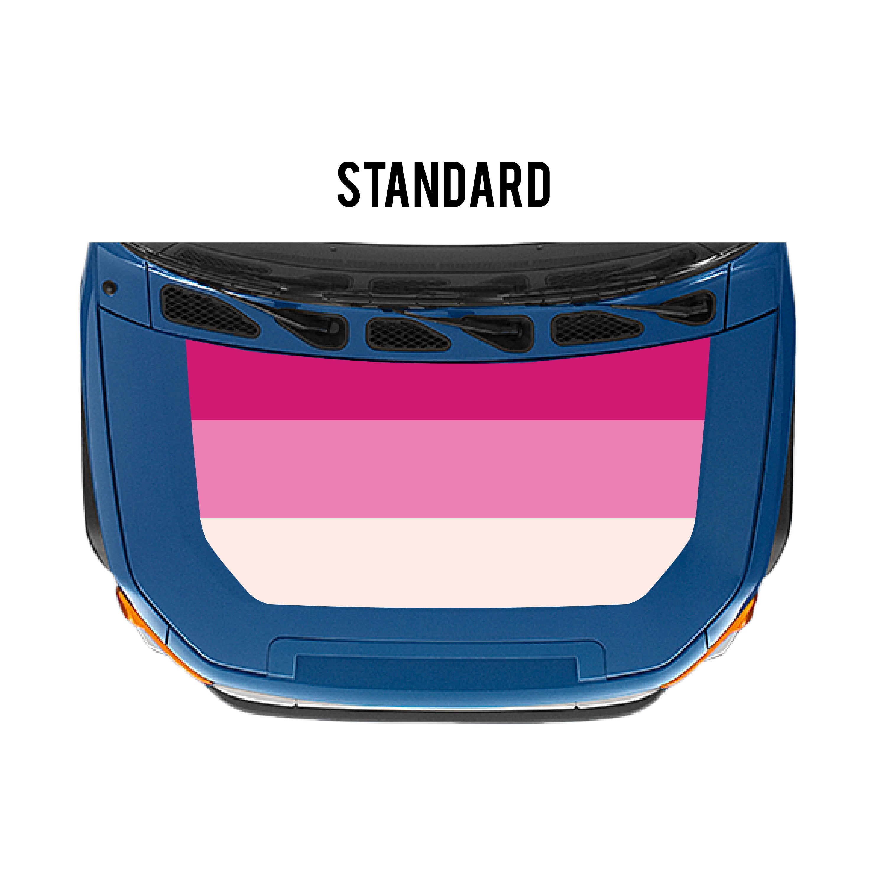 2007-14 Checkered Stripe Kit For FJ Cruiser
