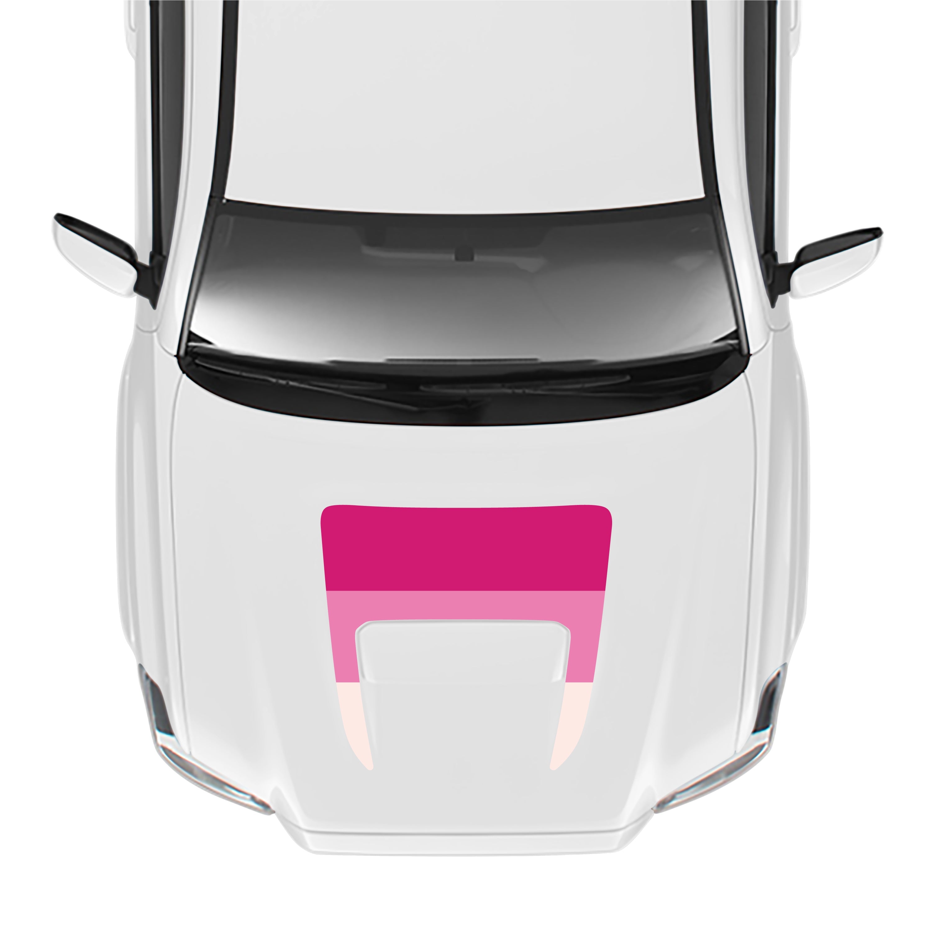 2016-23 Sport/Pro Checkered Hood Stamp For Tacoma