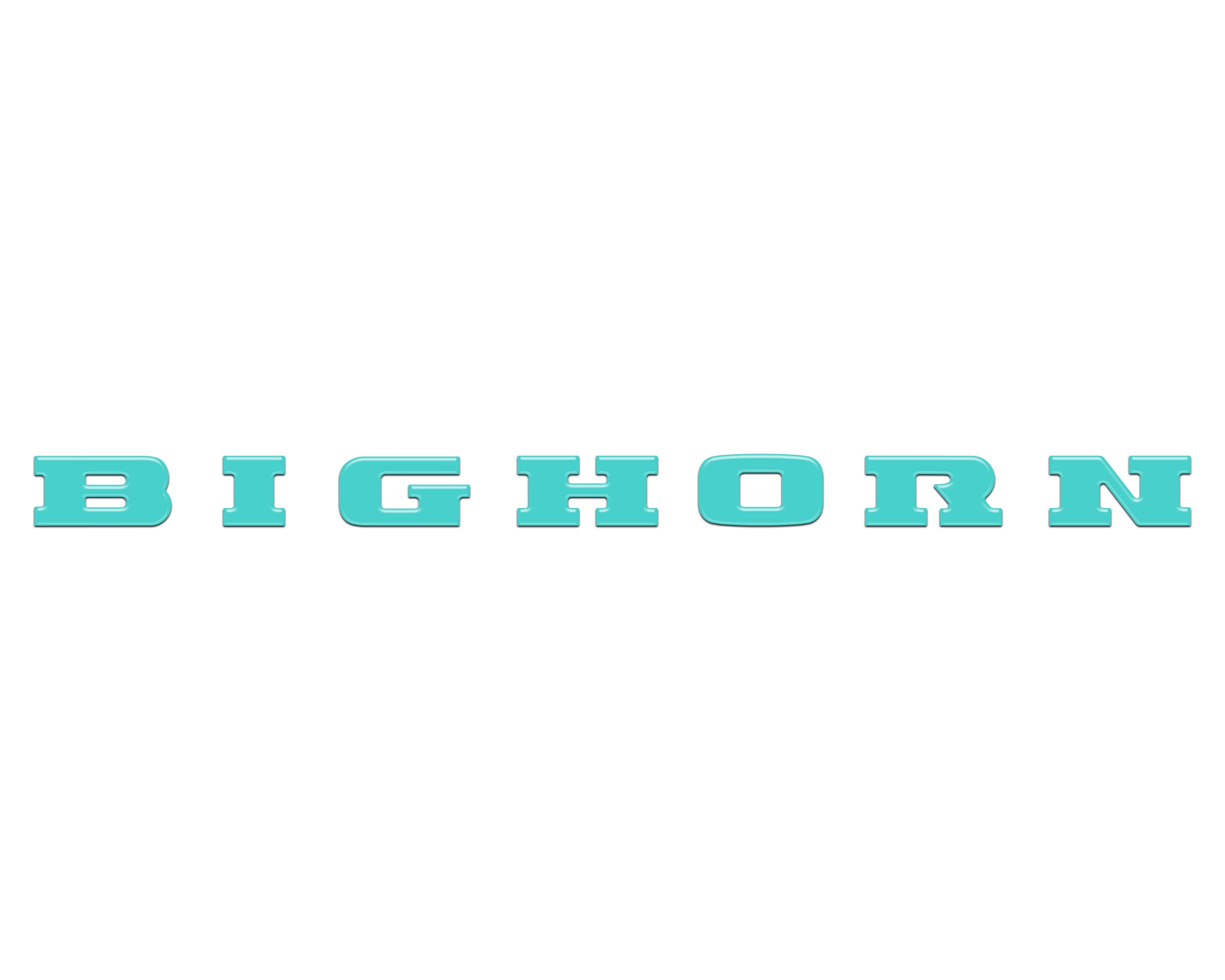 Bighorn Tailgate Emblem Letter Inserts Fits 2025-2026 Ram 1500/2500/3500