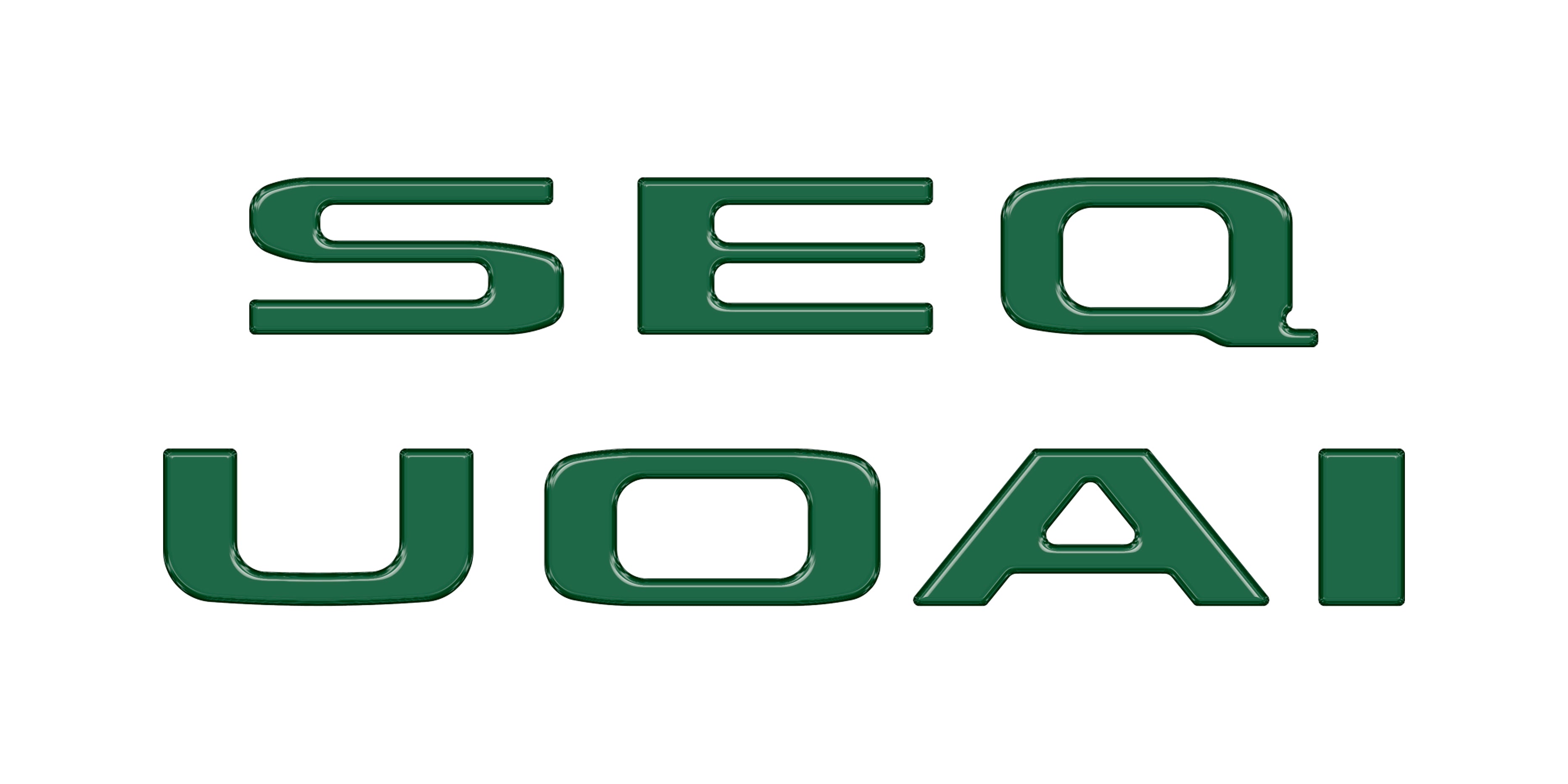 Rear Hatch Letter Overlays Fits 2023-2026 Toyota Sequoia