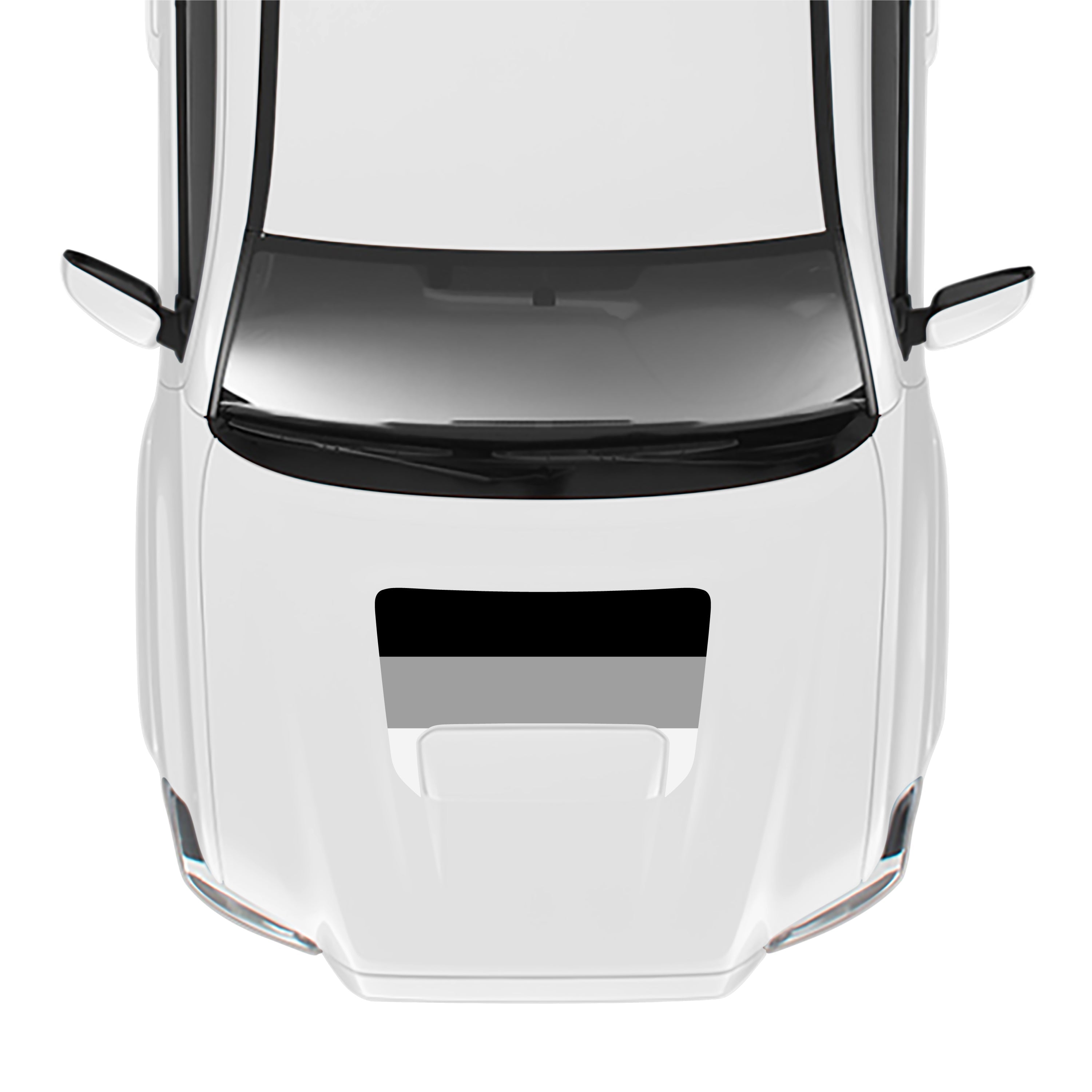 2016-23 Sport/Pro Checkered Hood Stamp For Tacoma
