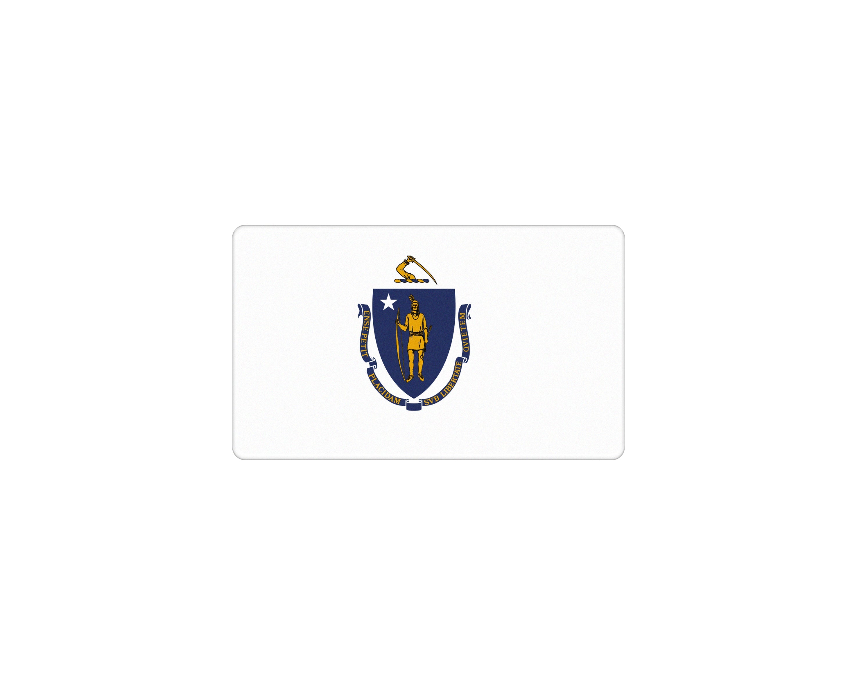 USA Flag Emblem Fits - Universal