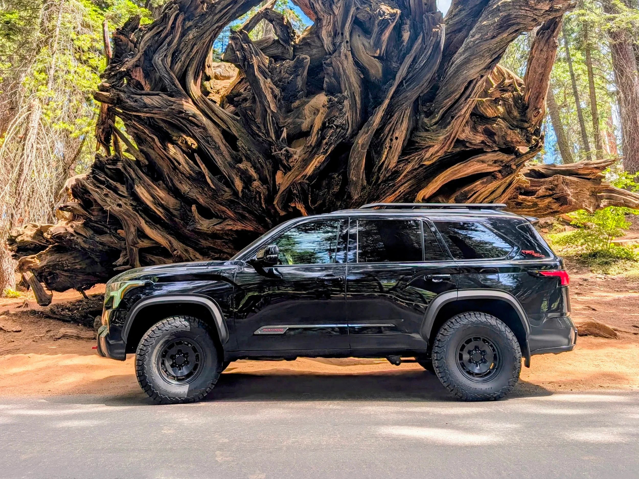 NYTOP Fender Flare Kit For 2023-Current Toyota Sequoia