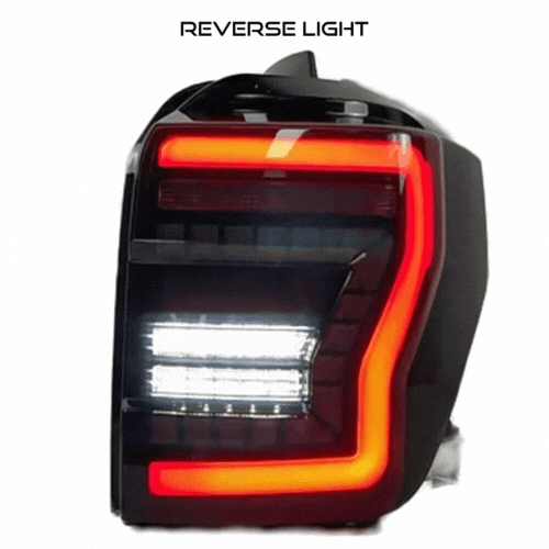 Aspire G1 LED Tail Lights for 4Runner (10-24)
