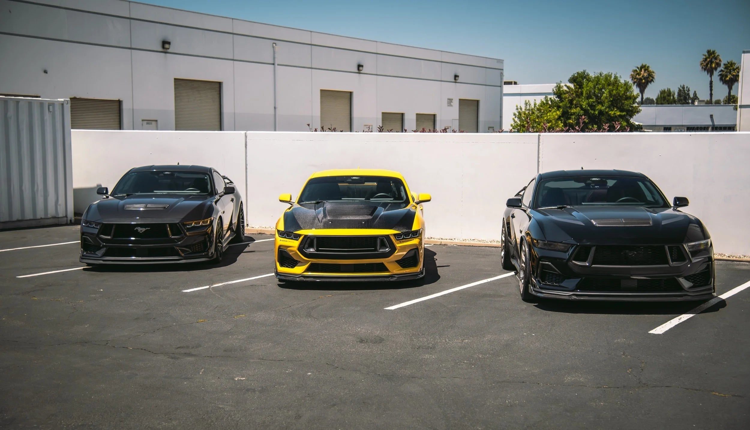 NYTOP Splitter Extension For 2024-Current Ford Mustang