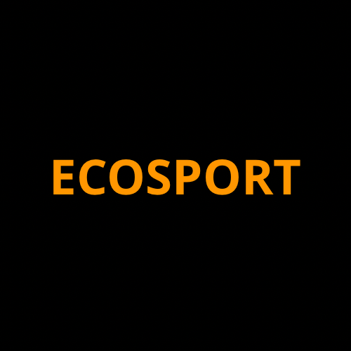 Screen ProTech Kit For Ford EcoSport