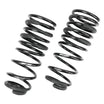 '+1" Rear Springs For 24-26 Toyota Tacoma
