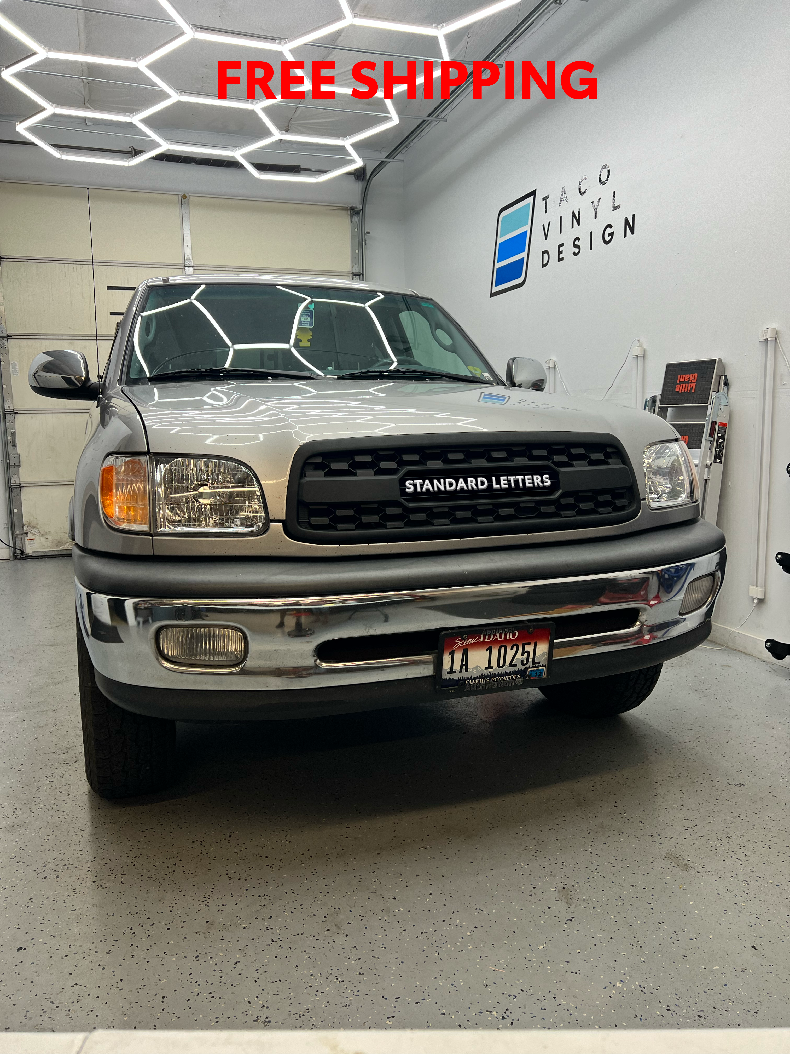 2000-02  Pro Grille For Tundra