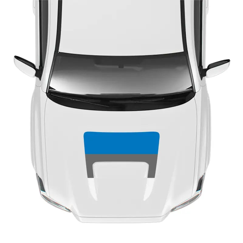 White car with blue and gray hood design featuring a pro sport hood stamp