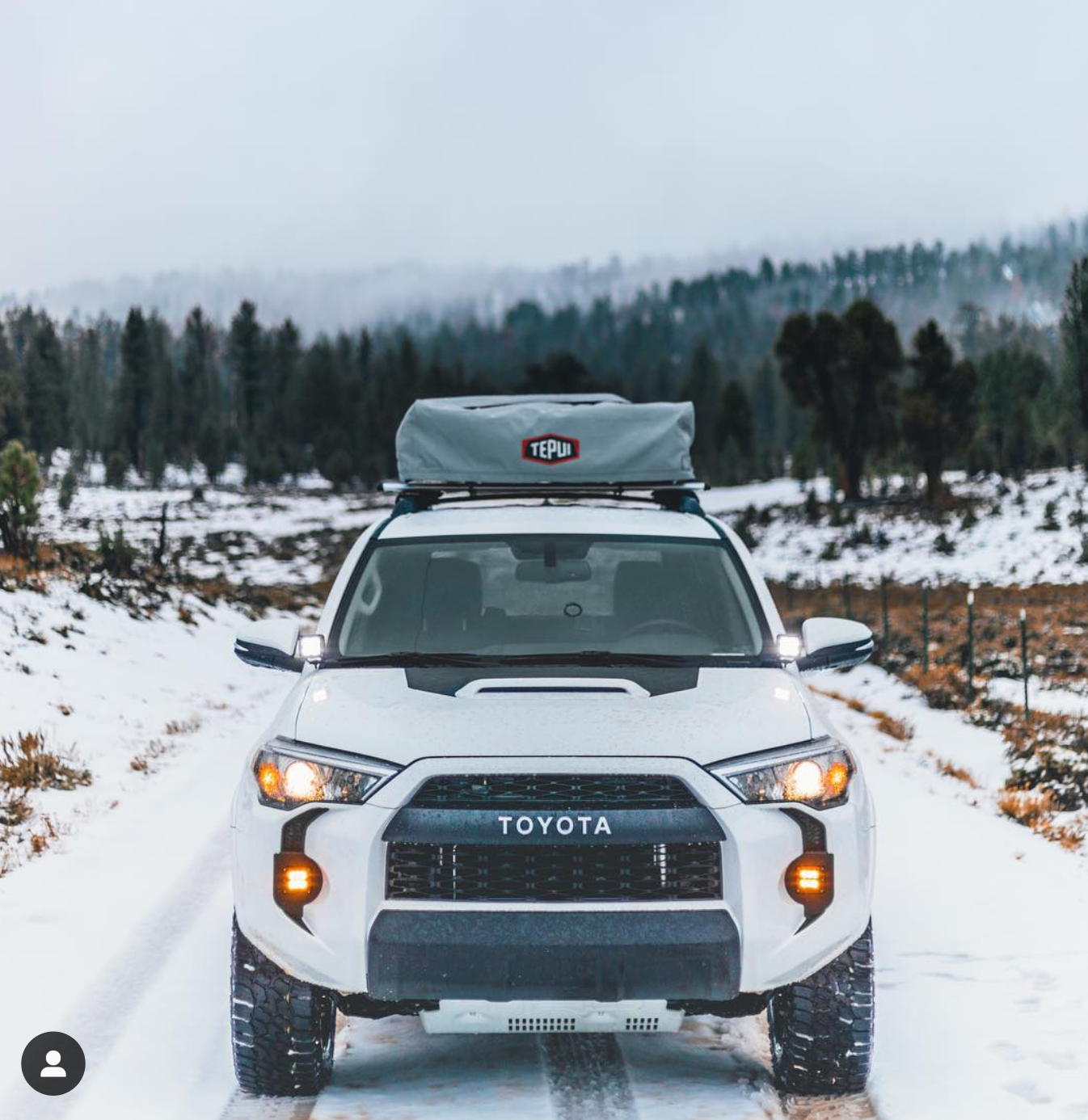 Foglight Fangs For (5th Gen) 4Runner