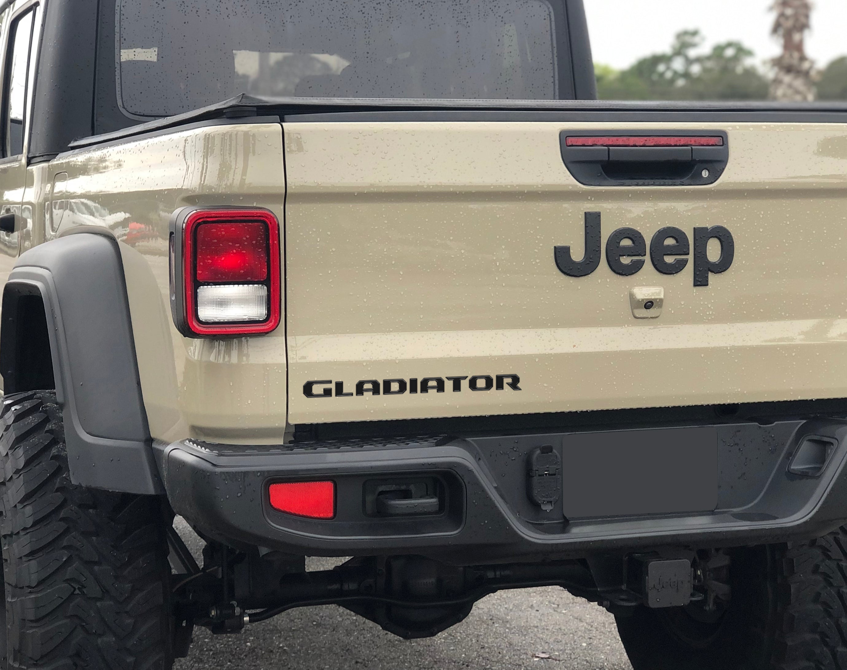 Raised Lettering Decal Fits 2020-2026 Jeep Gladiator