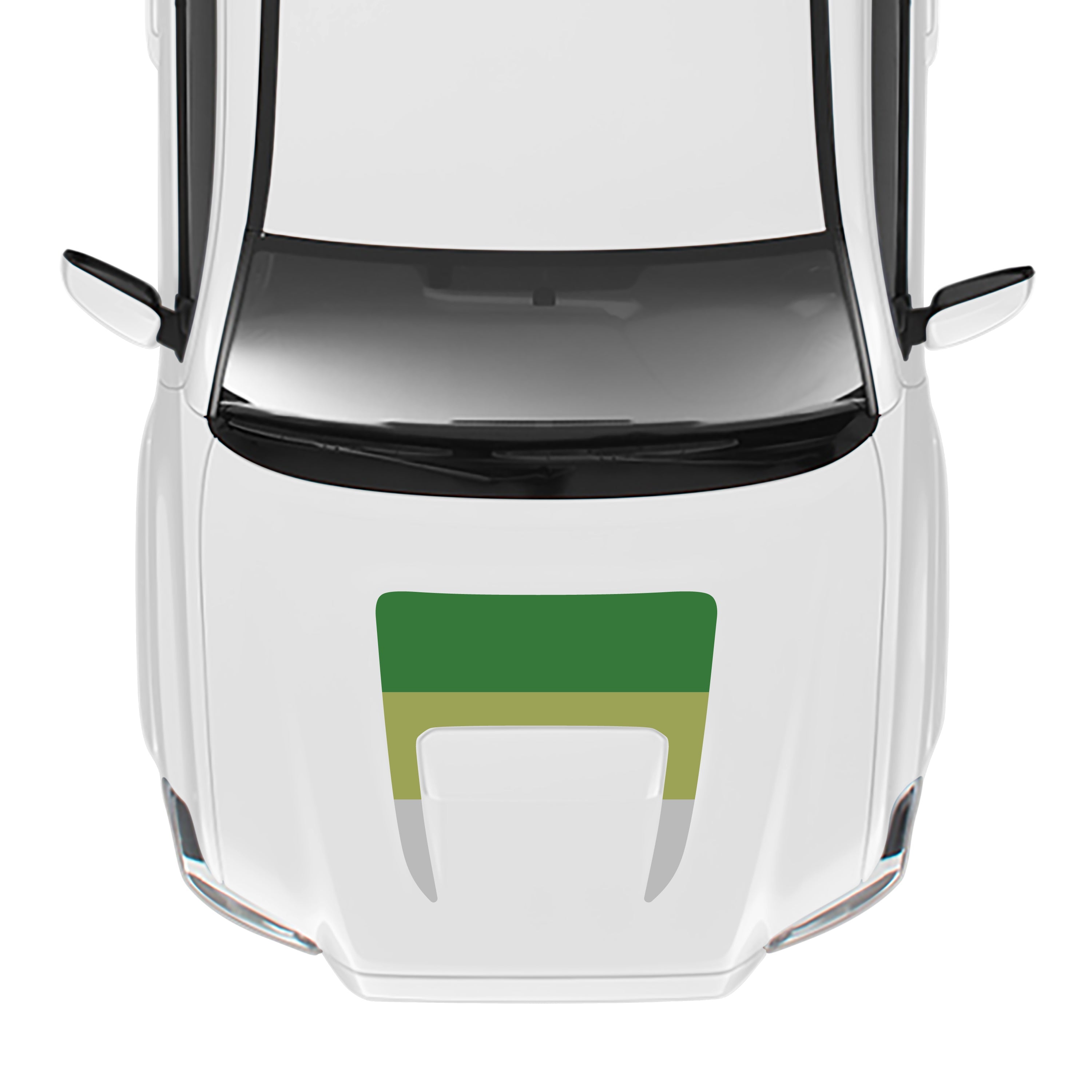 2016-23  Sport/Pro Checkered Hood Stamp For Tacoma
