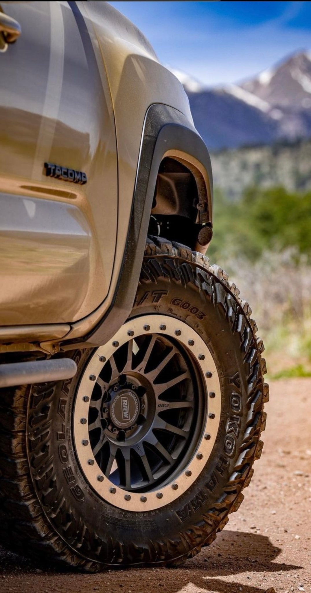 Close-up of a hybrid wheel with a black protection ring mounted on a vehicle, set against a scenic mountain backdrop.