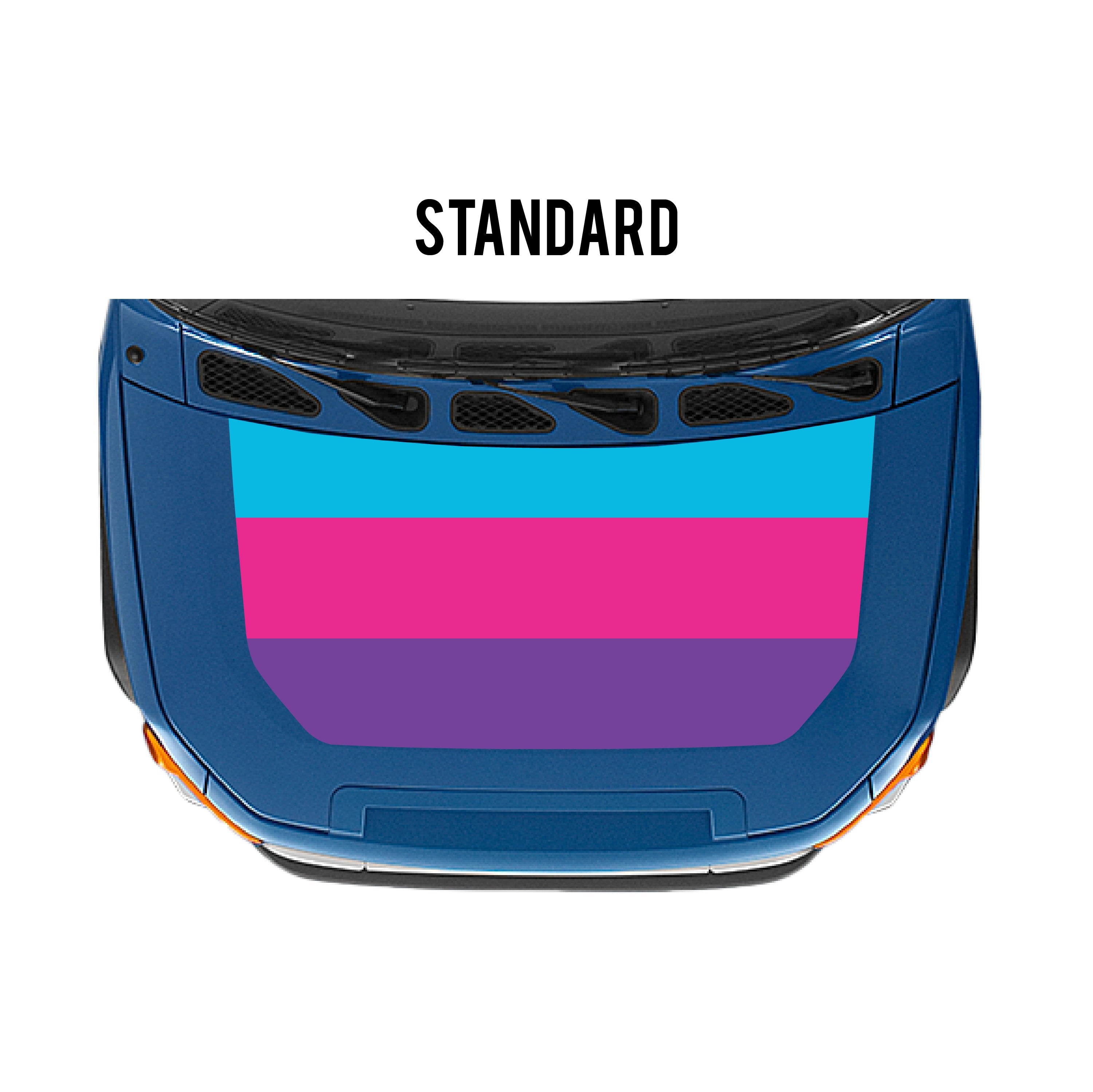 2007-14 Checkered Stripe Kit For FJ Cruiser