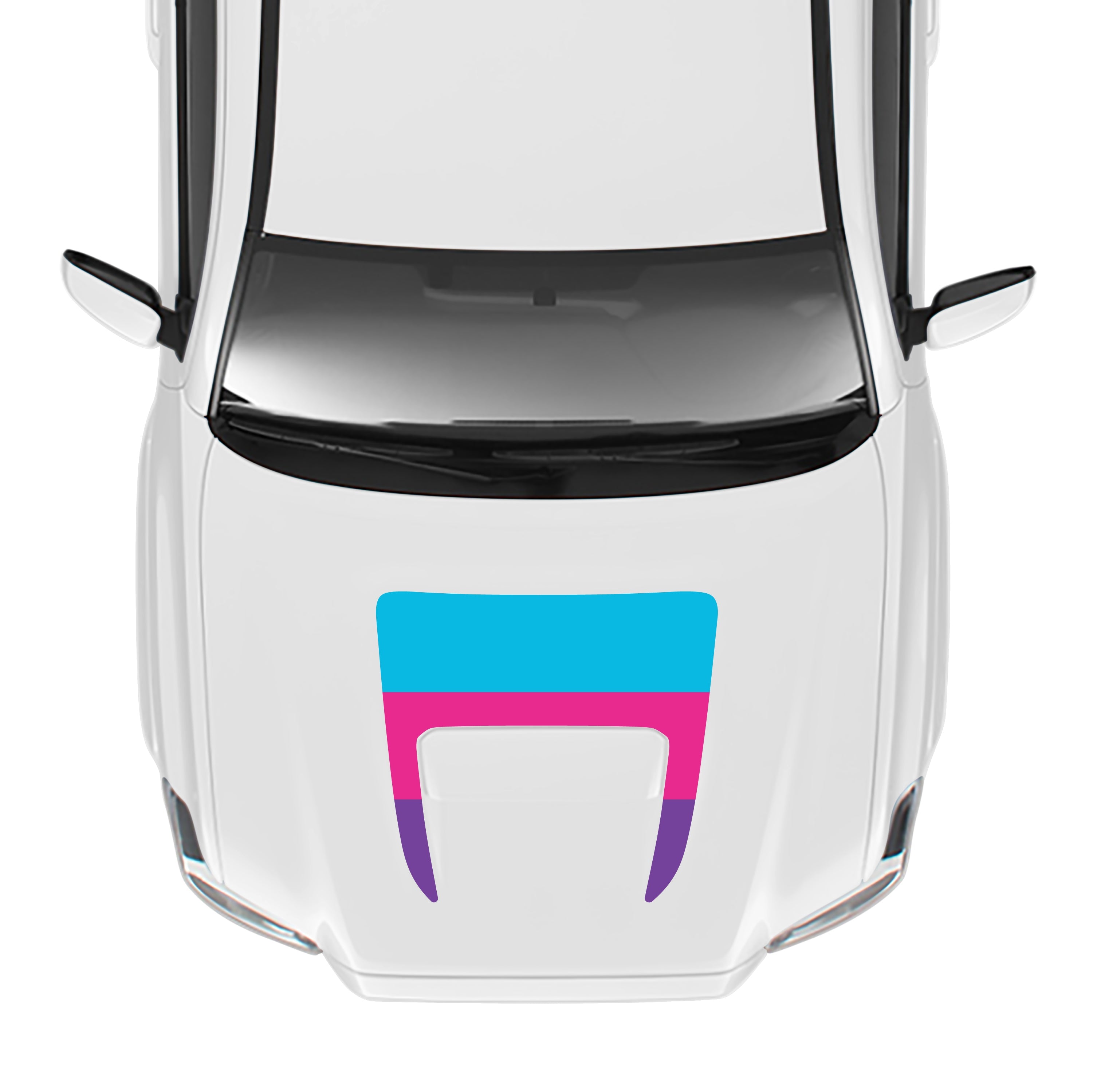 2016-23  Sport/Pro Checkered Hood Stamp For Tacoma