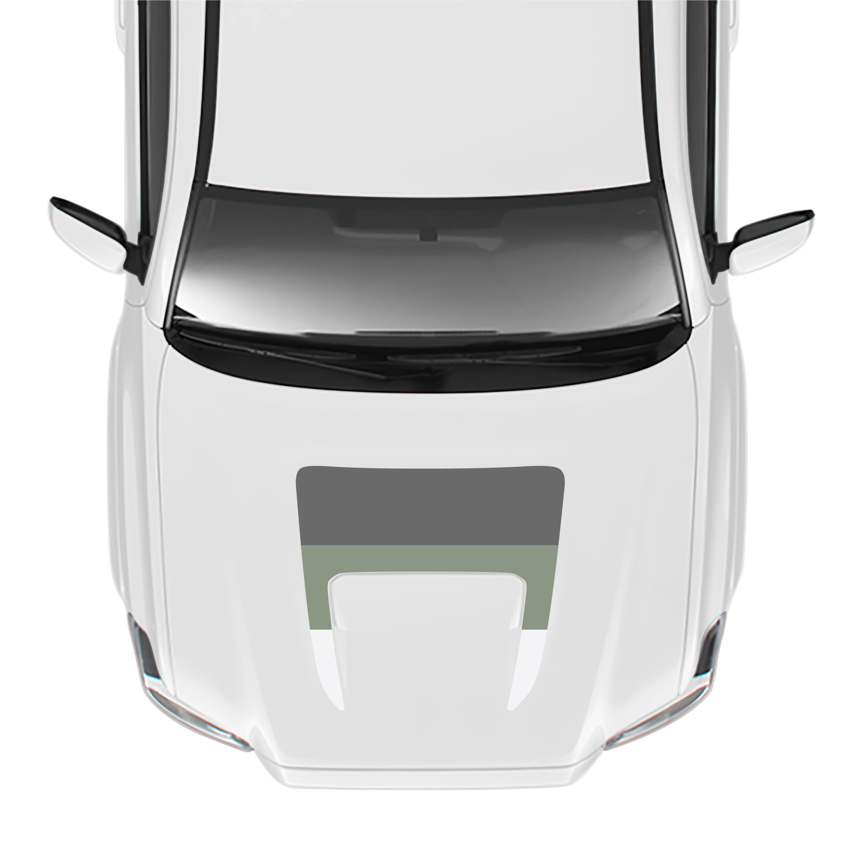 2016-23  Sport/Pro Checkered Hood Stamp For Tacoma