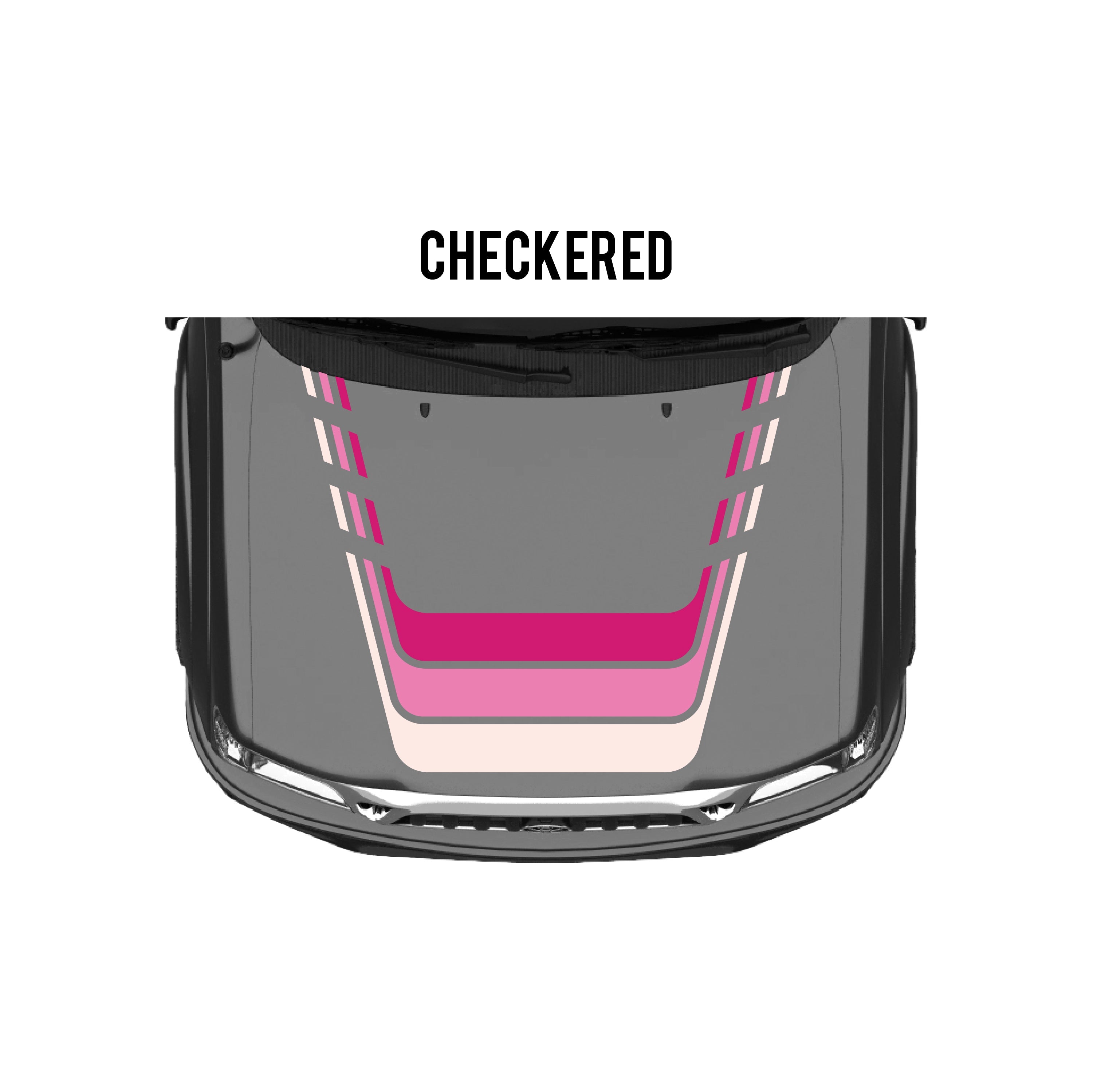 2001-04  Checkered Stripe Kit For Tacoma