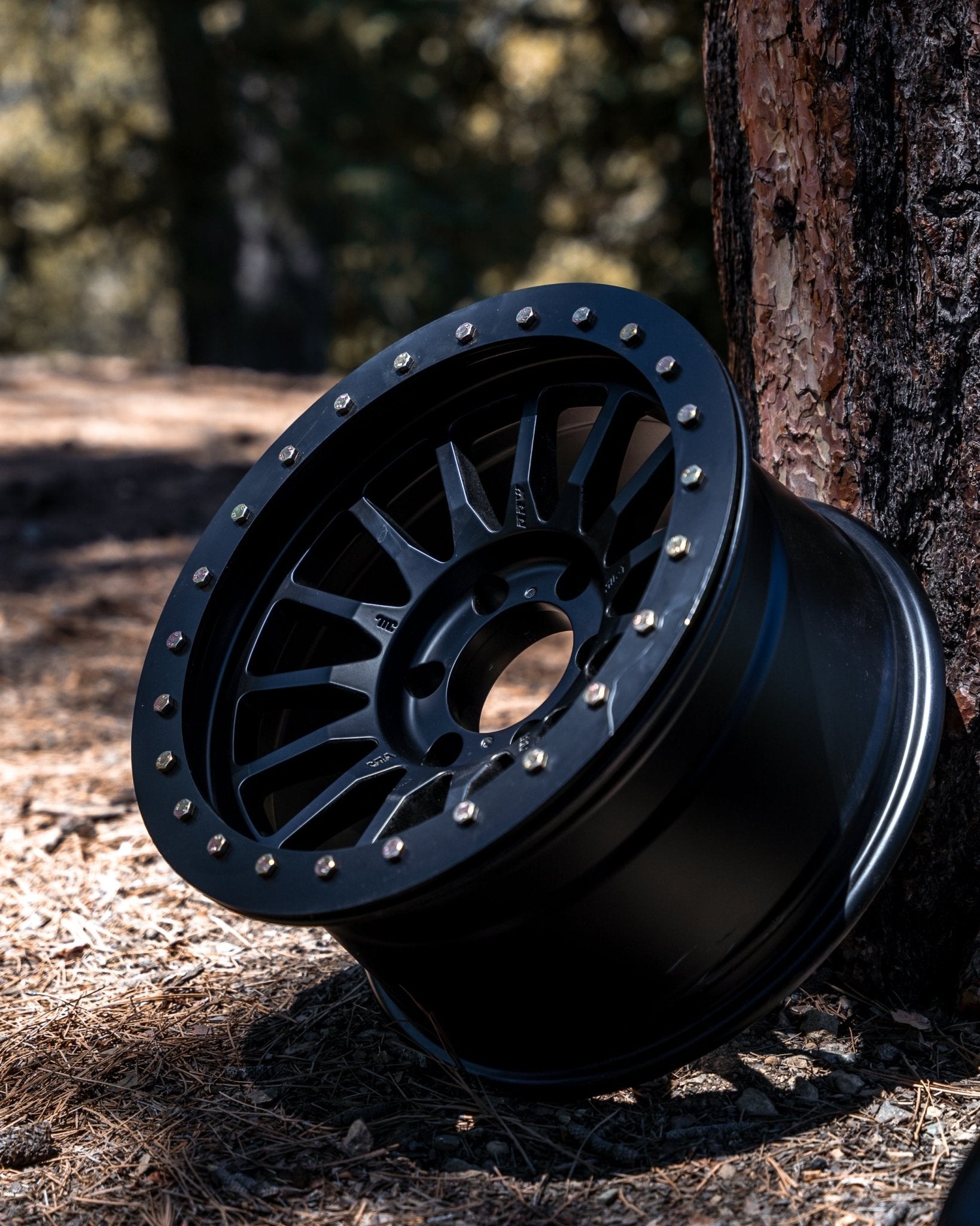 Black hybrid wheel with a mounted protection ring leaning against a tree, highlighting its rugged design for outdoor use.