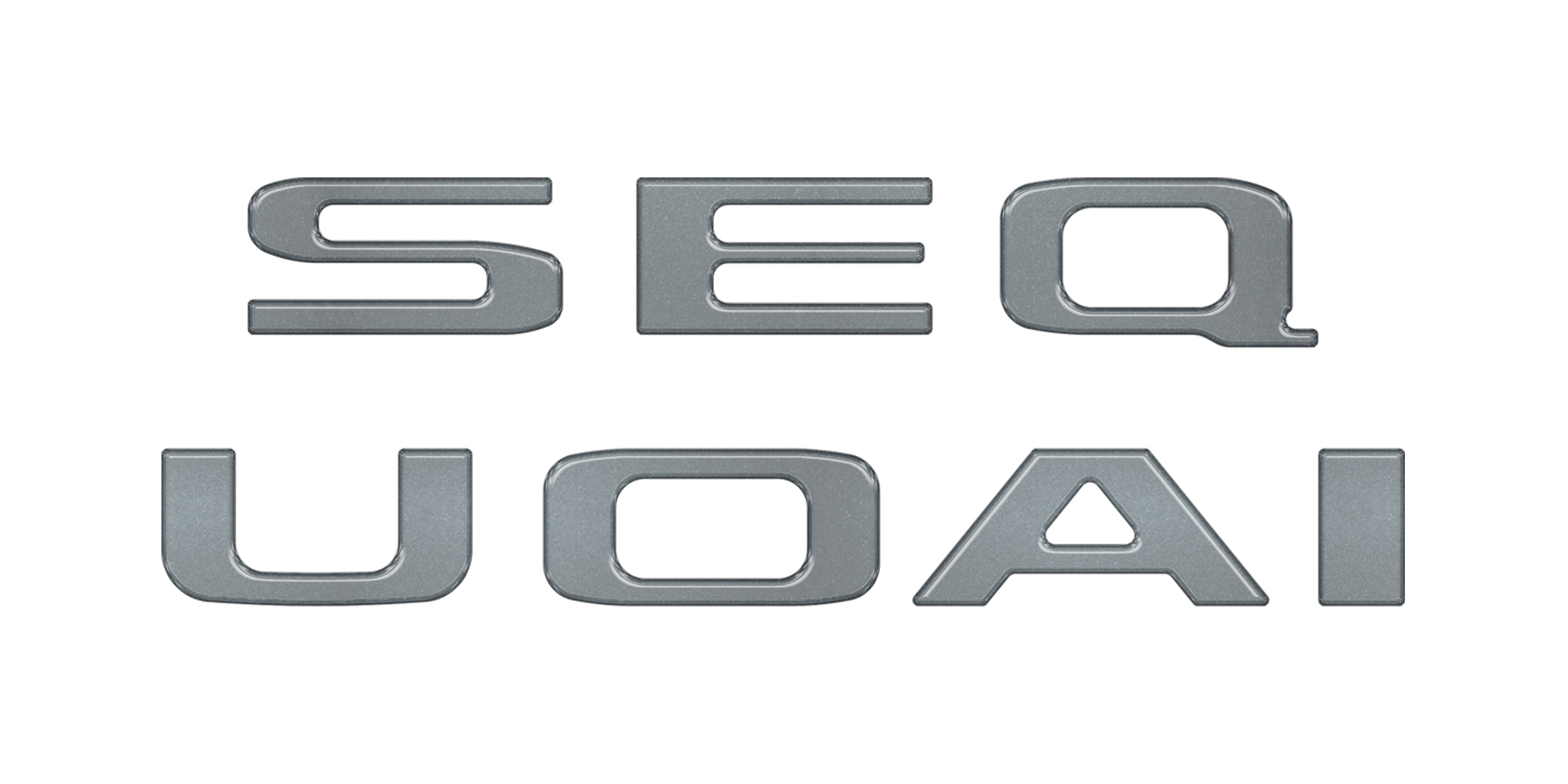 Rear Hatch Letter Overlays Fits 2023-2026 Toyota Sequoia
