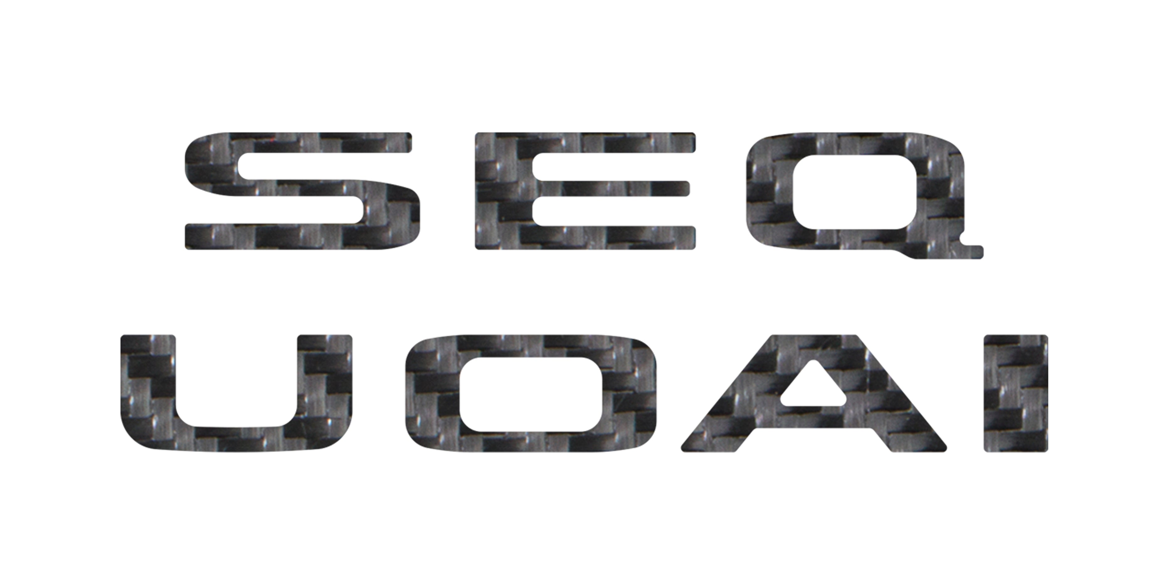 Rear Hatch Letter Overlays Fits 2023-2026 Toyota Sequoia