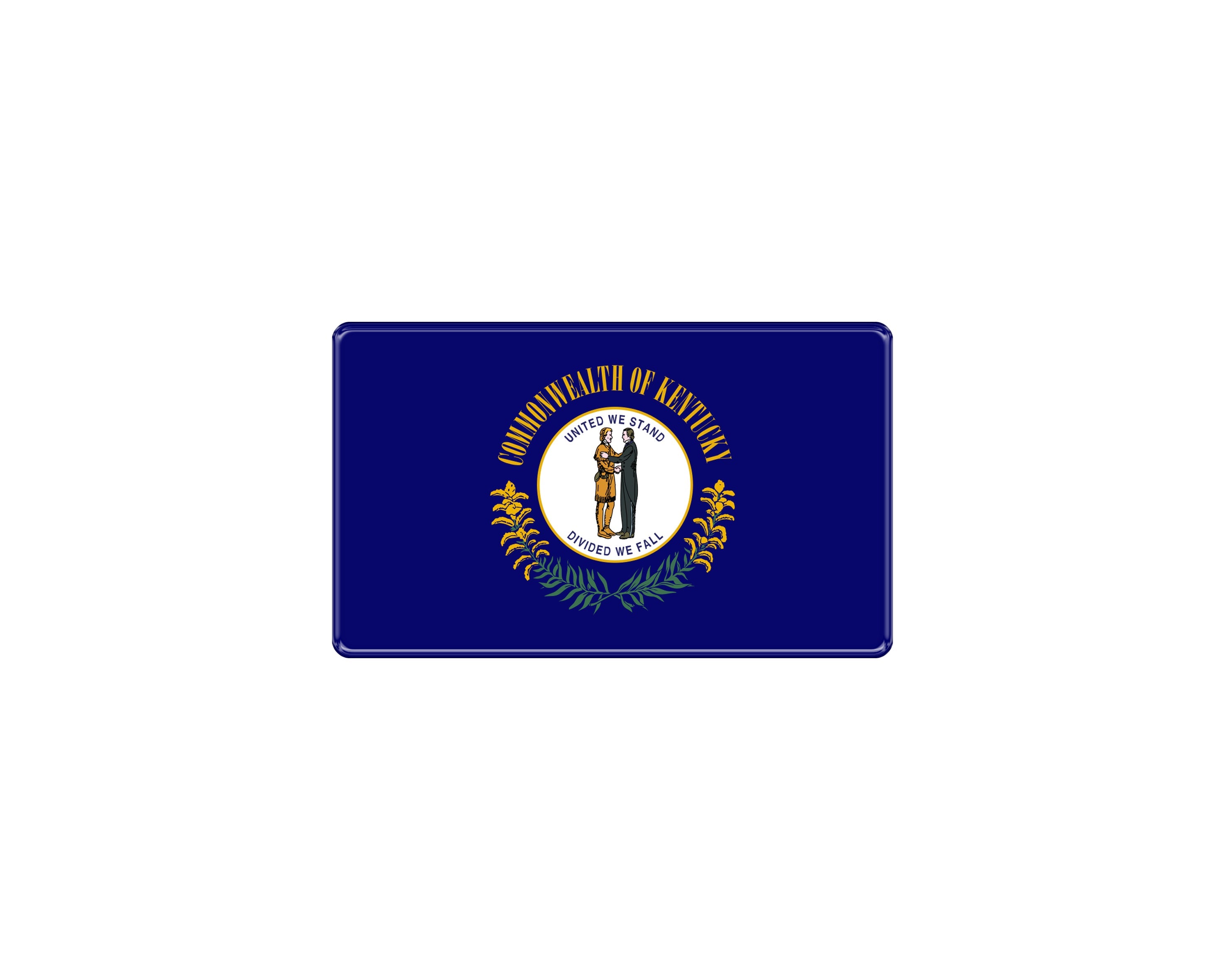 USA Flag Emblem Fits - Universal