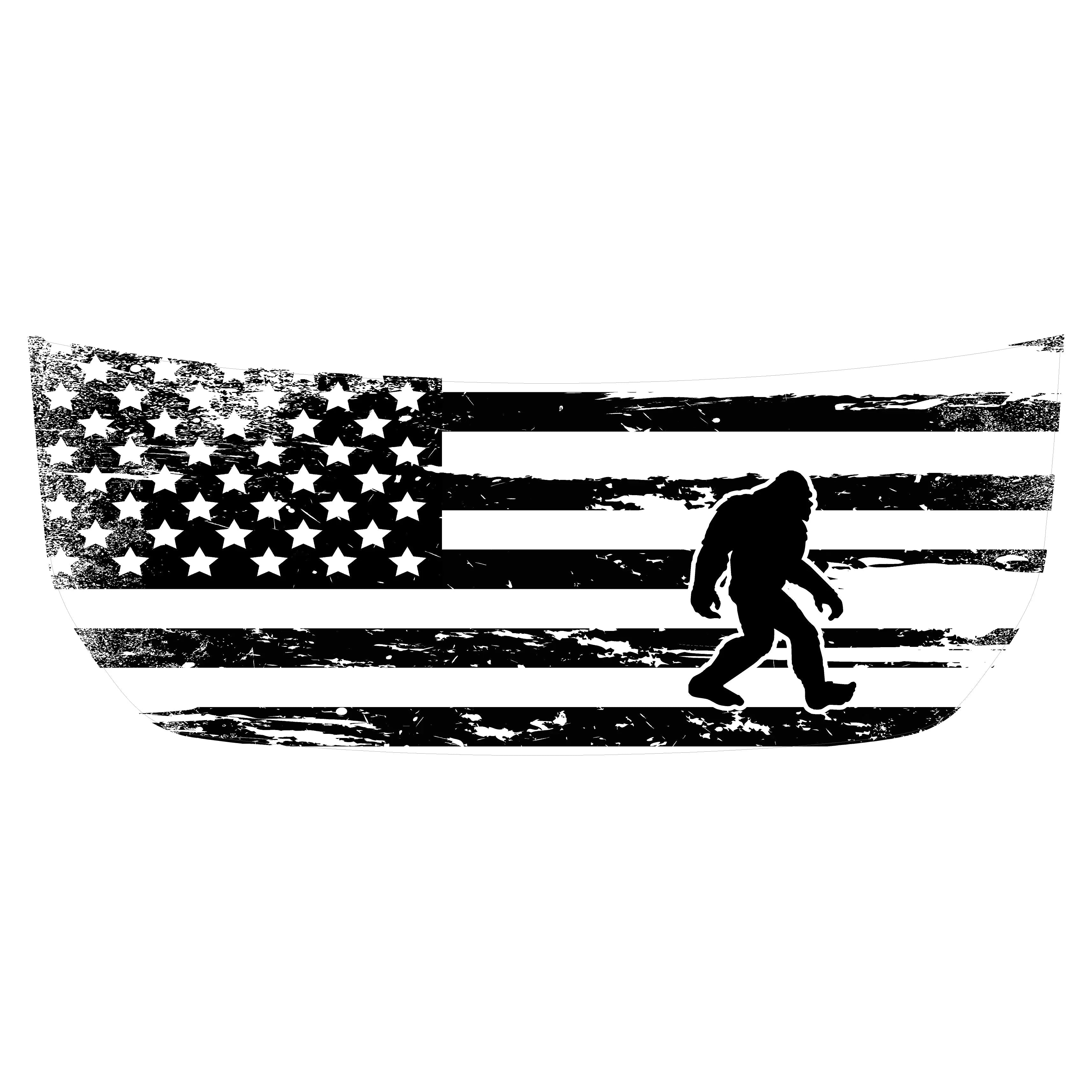 Stealth Clear American Flag Hood Overlay For 2021+ Bronco