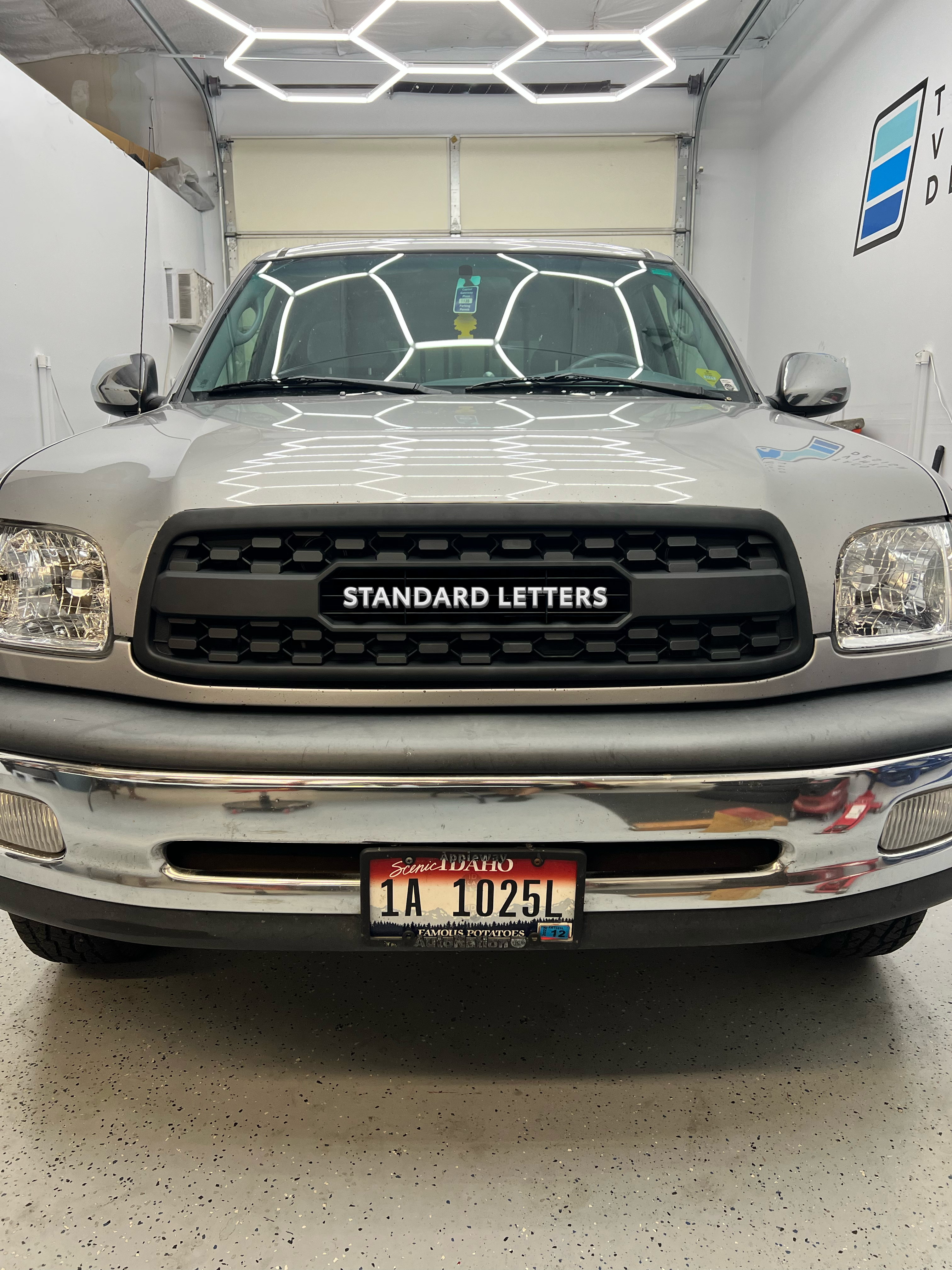 2000-02  Pro Grille For Tundra